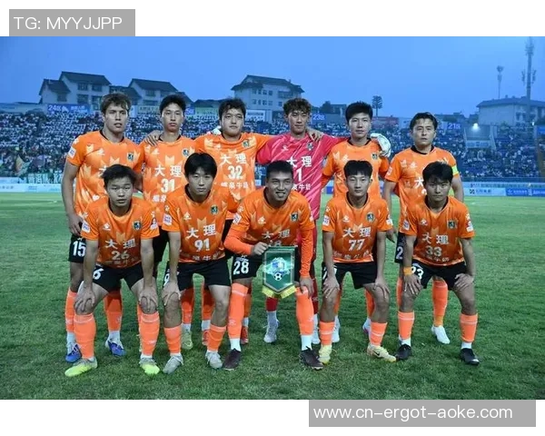 滇超联赛大理队队徽露脸